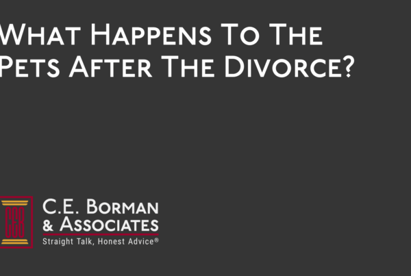 What Happens To The Pets After The Divorce - C.E. Borman & Associates