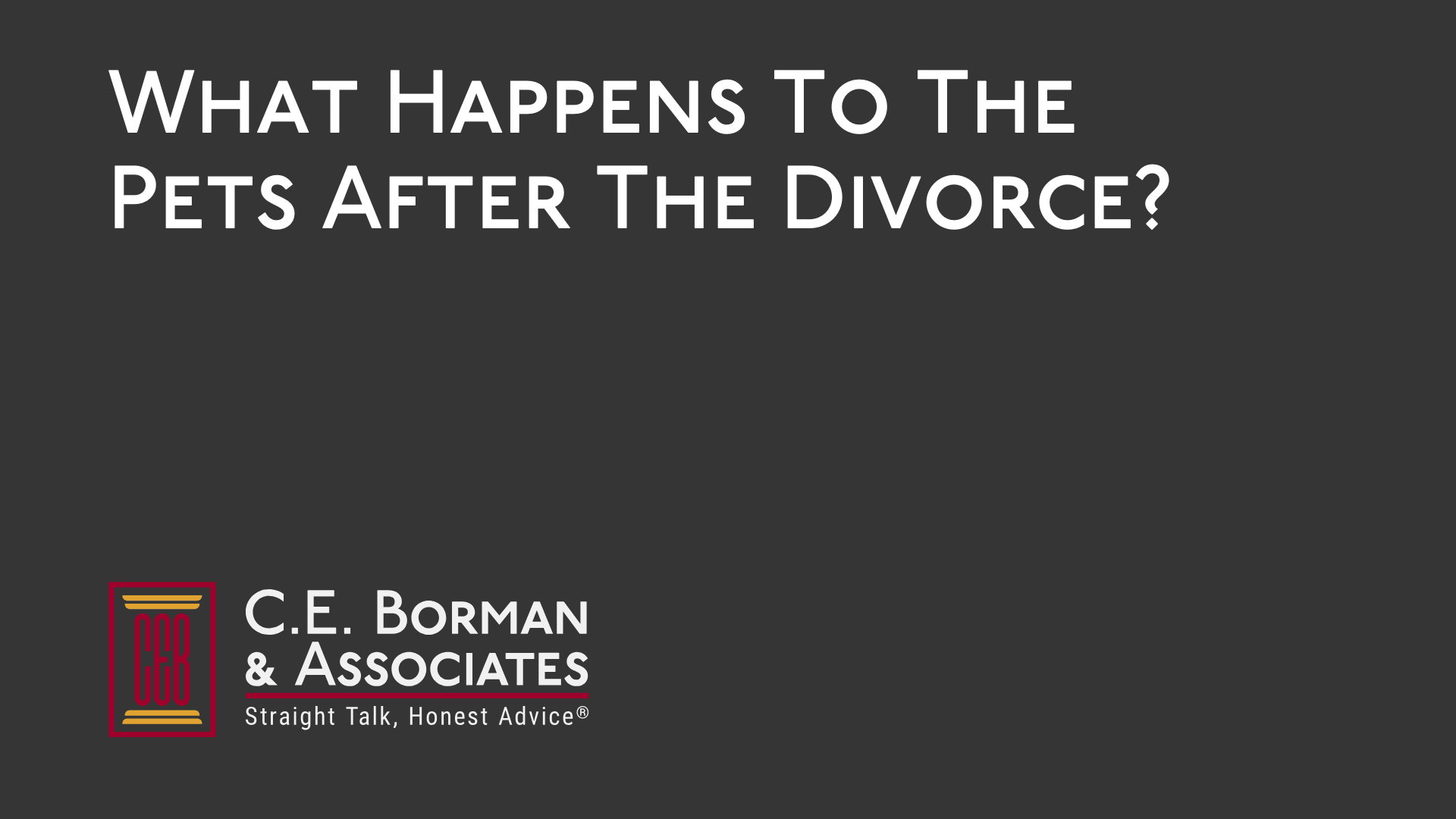 What Happens To The Pets After The Divorce C E Borman Law What Happens To The Pets After The Divorce C.E. Borman